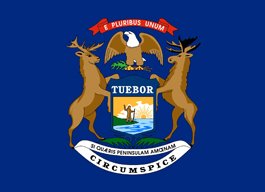 Michigan insurance